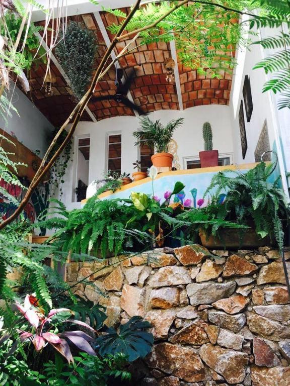 Villa Palapa Chili # Sayulita Esterno foto
