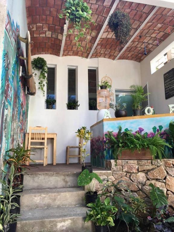 Villa Palapa Chili # Sayulita Esterno foto