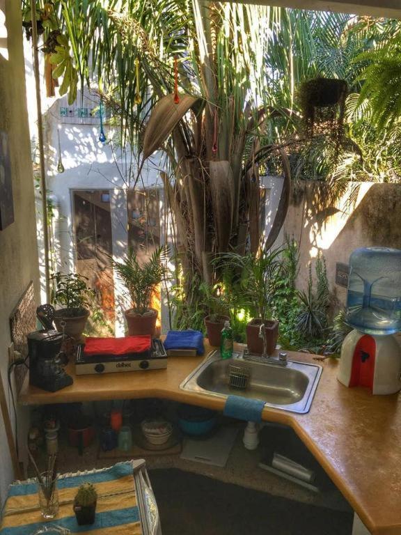 Villa Palapa Chili # Sayulita Esterno foto