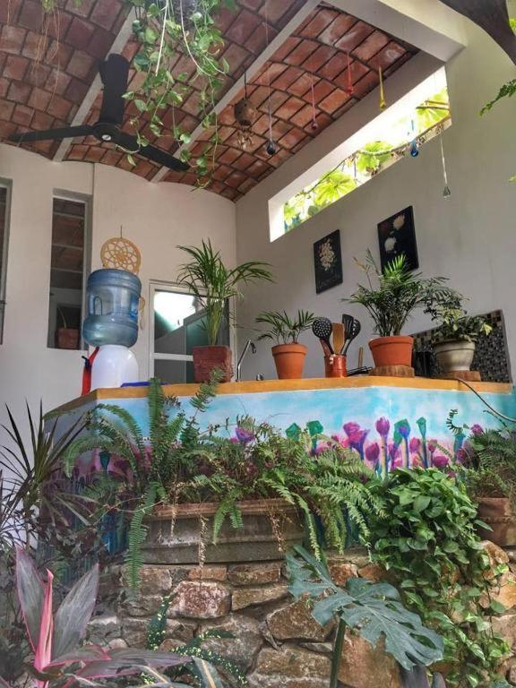 Villa Palapa Chili # Sayulita Esterno foto