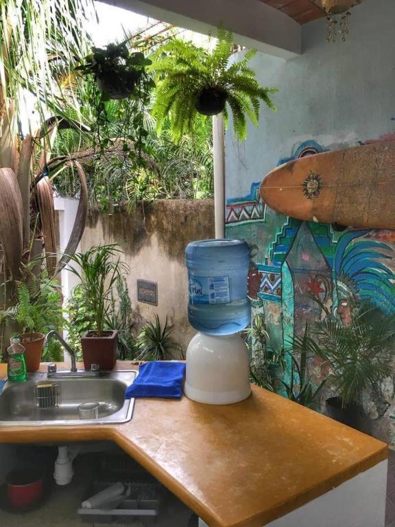 Villa Palapa Chili # Sayulita Esterno foto
